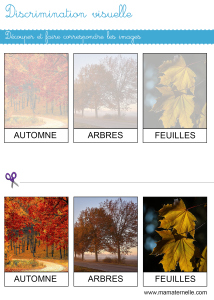 Discrimination Visuelle Faire Correspondre Ma Maternelle