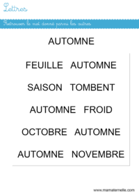 Petite section - Discrimination visuelle : découper et placer les paires