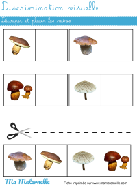 Petite section - Discrimination visuelle : relier l’image à son ombre