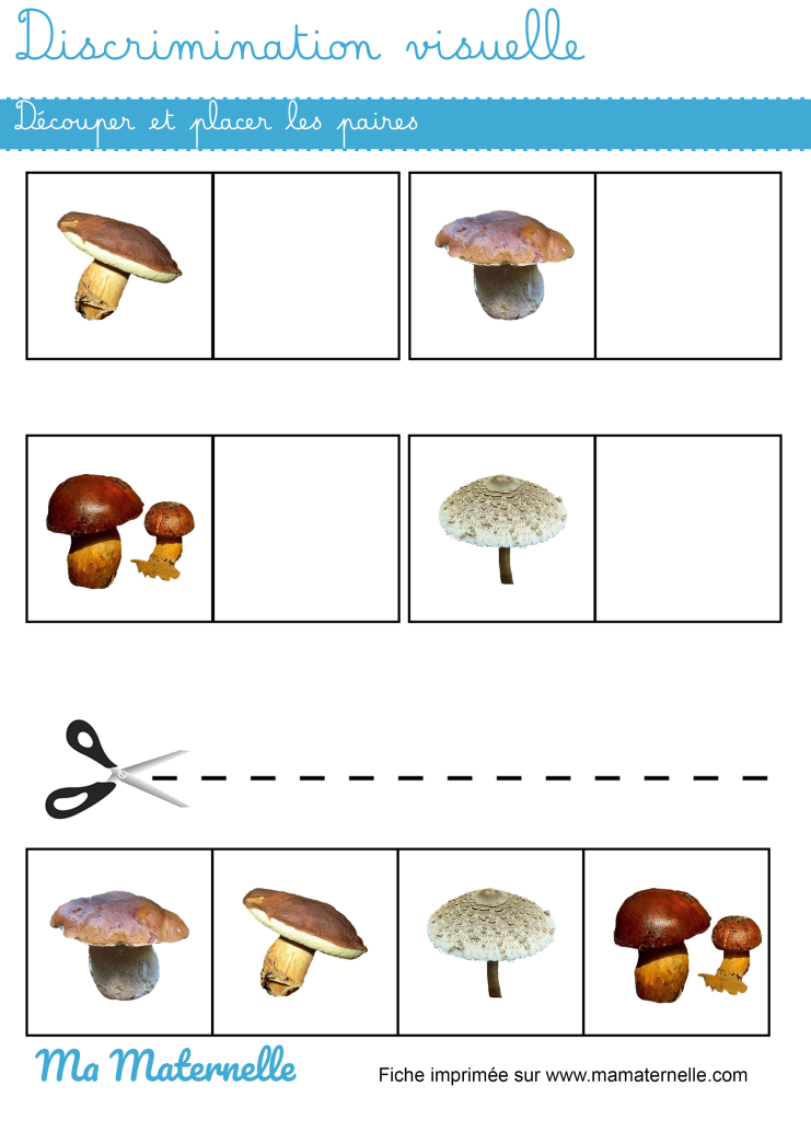 Petite section - Discrimination visuelle : découper et placer les paires