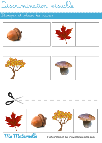 Petite section - Mathématiques : placer aux bons emplacements