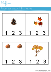 Petite section - Mathématiques : compter puis entourer