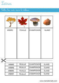 Moyenne section - Lettres : coller les mots