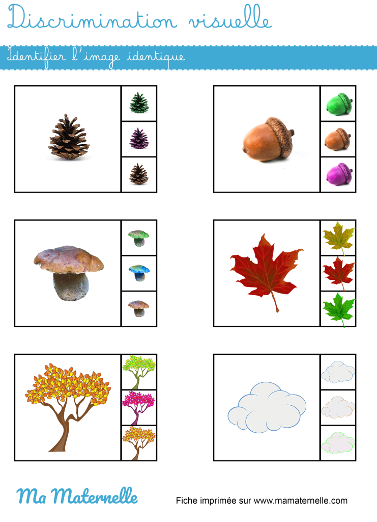 Petite section - Discrimination visuelle : identifier l’image identique