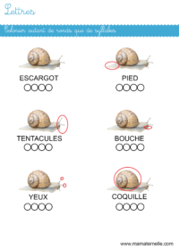 Grande section - Graphisme : découper et assembler