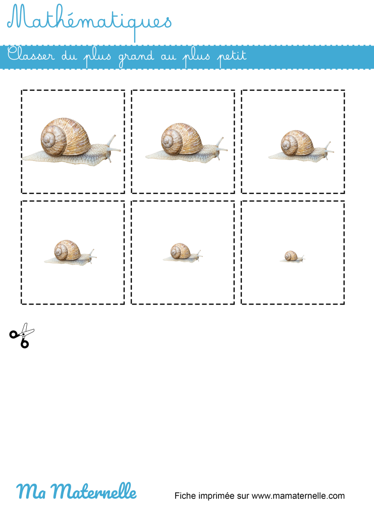 Petite section - Mathématiques : découper et classer par taille