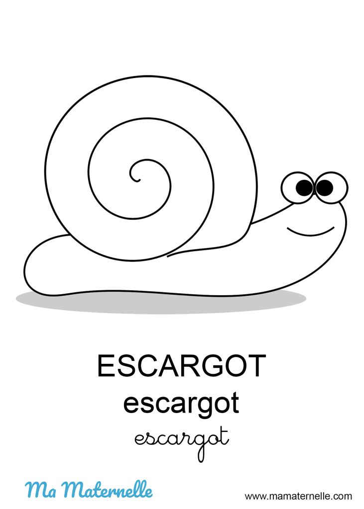 Activités - Coloriage : escargot