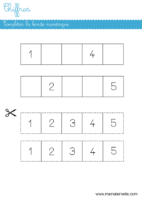 Grande section - Mathématiques : compter puis écrire le total