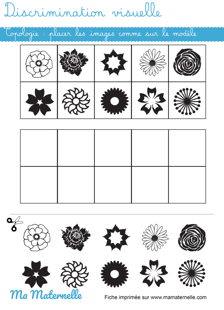 Moyenne section - Discrimination visuelle : topologie printemps