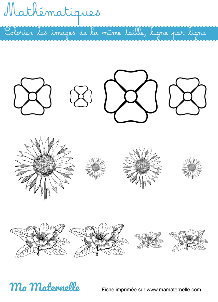 Moyenne section - Mathématiques : colorier les images de la même taille