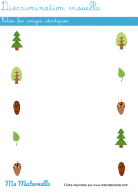 Moyenne section - Discrimination visuelle : topologie printemps