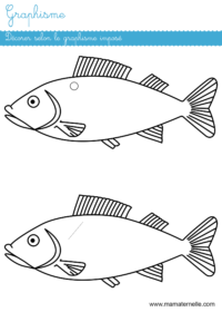 Moyenne section - Mathématiques : colorier selon les indications