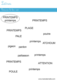 Moyenne section - Mathématiques : placer du plus petit au plus grand