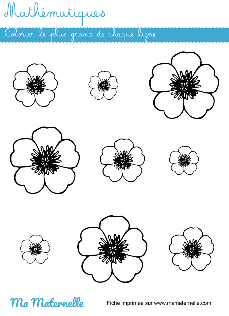 Petite section - Mathématiques : colorier le plus grand