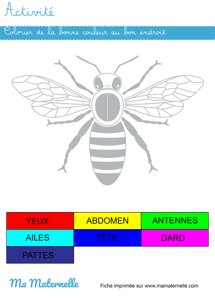 Activités - Activité : colorier de la bonne couleur