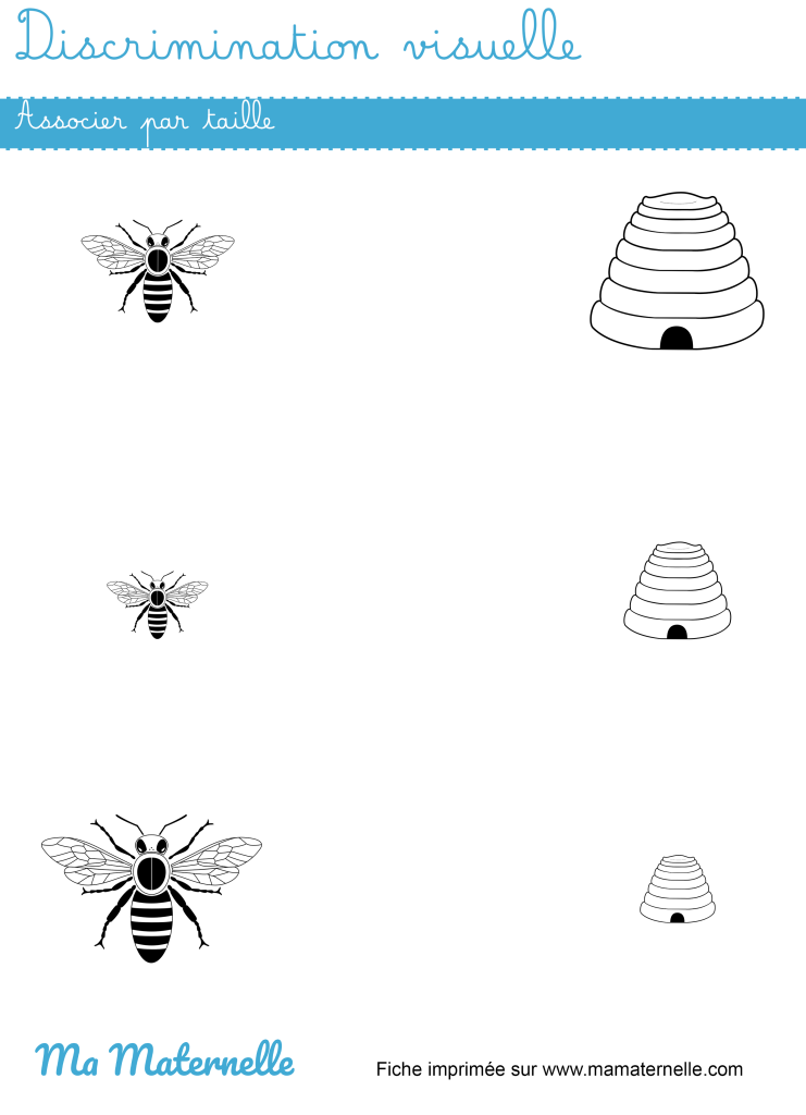 Moyenne section - Discrimination visuelle : associer par taille