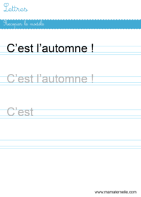 Grande section - Lettres : placer des jetons / syllabes