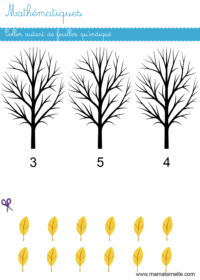 Activités - Activité : découper et coller les feuilles