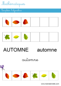 Activités - Calendrier Novembre 2024