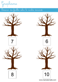 Petite section - Mathématiques : dessiner des feuilles