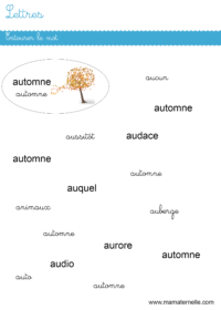 Moyenne section - Discrimination visuelle : entourer et compter les lettres