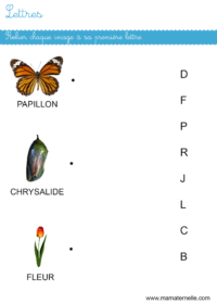 Activités - Cartes de nomenclature : les jours de la semaine