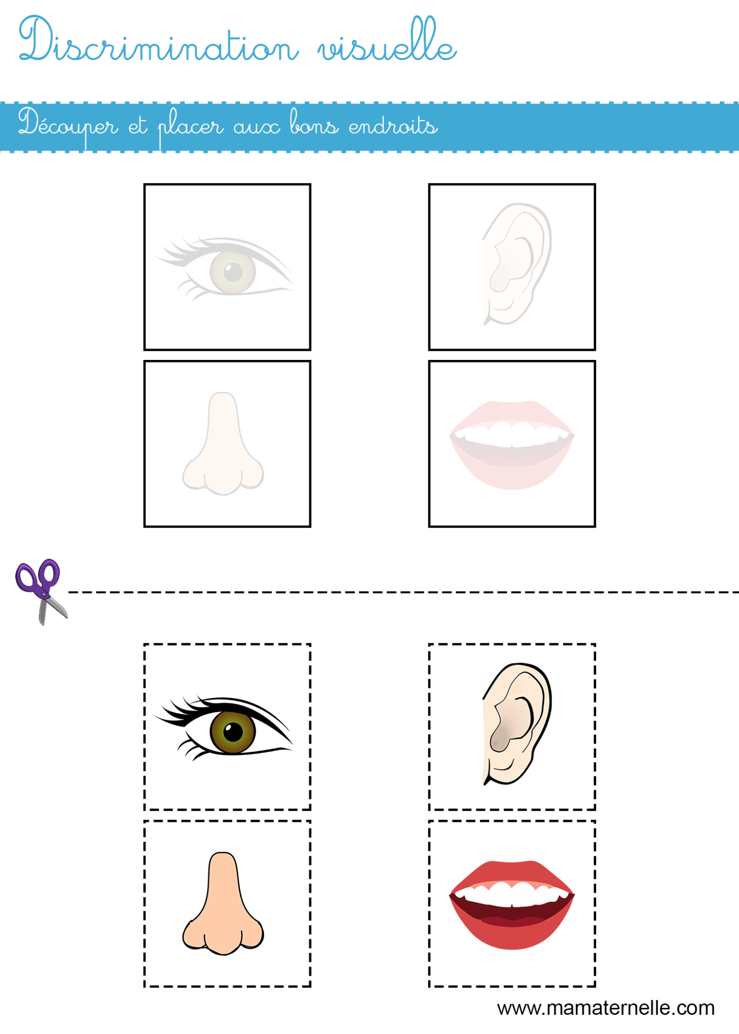 Discrimination Visuelle D Couper Et Placer Ma Maternelle