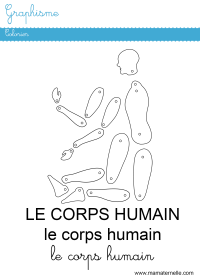 Activités - Activité : coller son visage et dessiner le corps