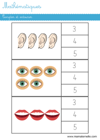 Moyenne section - Mathématiques : découper et classer par taille