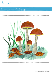 Activités - Activité : puzzle à découper