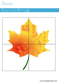 Activités - Activité : découper et assembler le puzzle