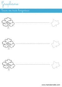 Petite section - Graphisme : tracer des traits et des points