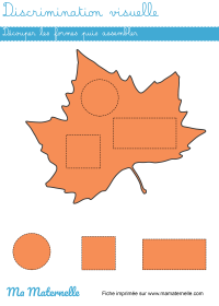Grande section - Discrimination visuelle : découper et placer