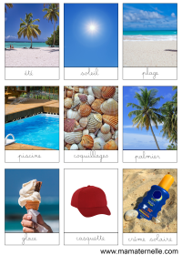 Activités - Cartes de nomenclature : Été