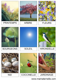 Activités - Cartes de nomenclature : Été