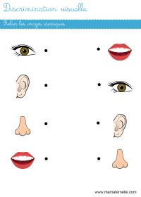 Petite section - Discrimination visuelle : découper et placer