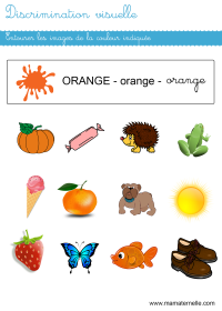 Petite section - Discrimination visuelle : entourer les images