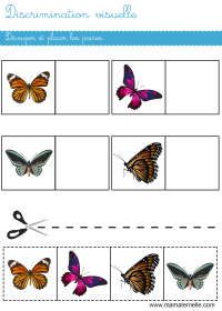 Petite section - Discrimination visuelle : relier l’image à son ombre