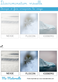 Petite section - Discrimination visuelle : faire correspondre
