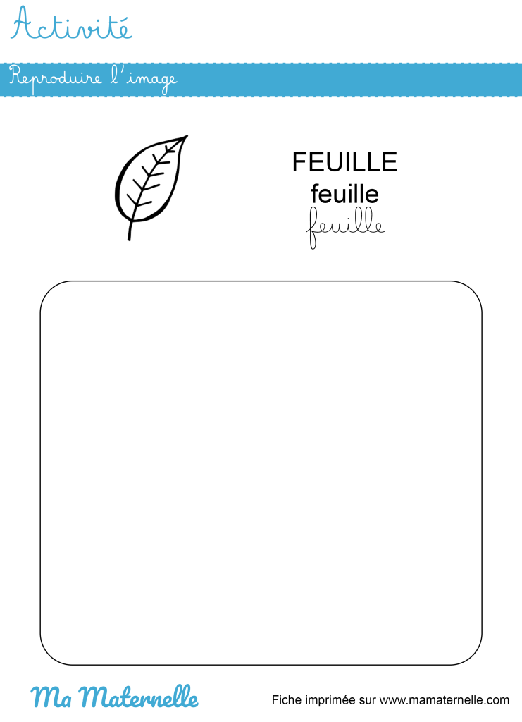 Activités - Activité : reproduire l’image